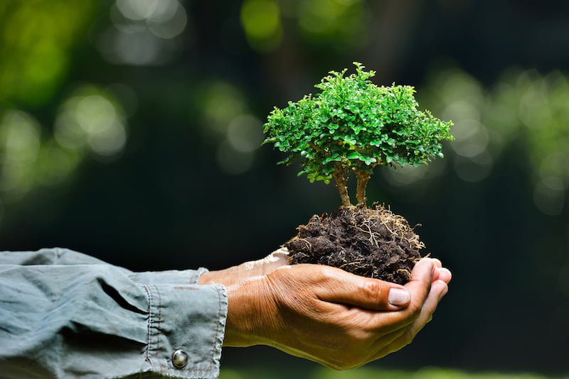 Preliminary Environmental Review