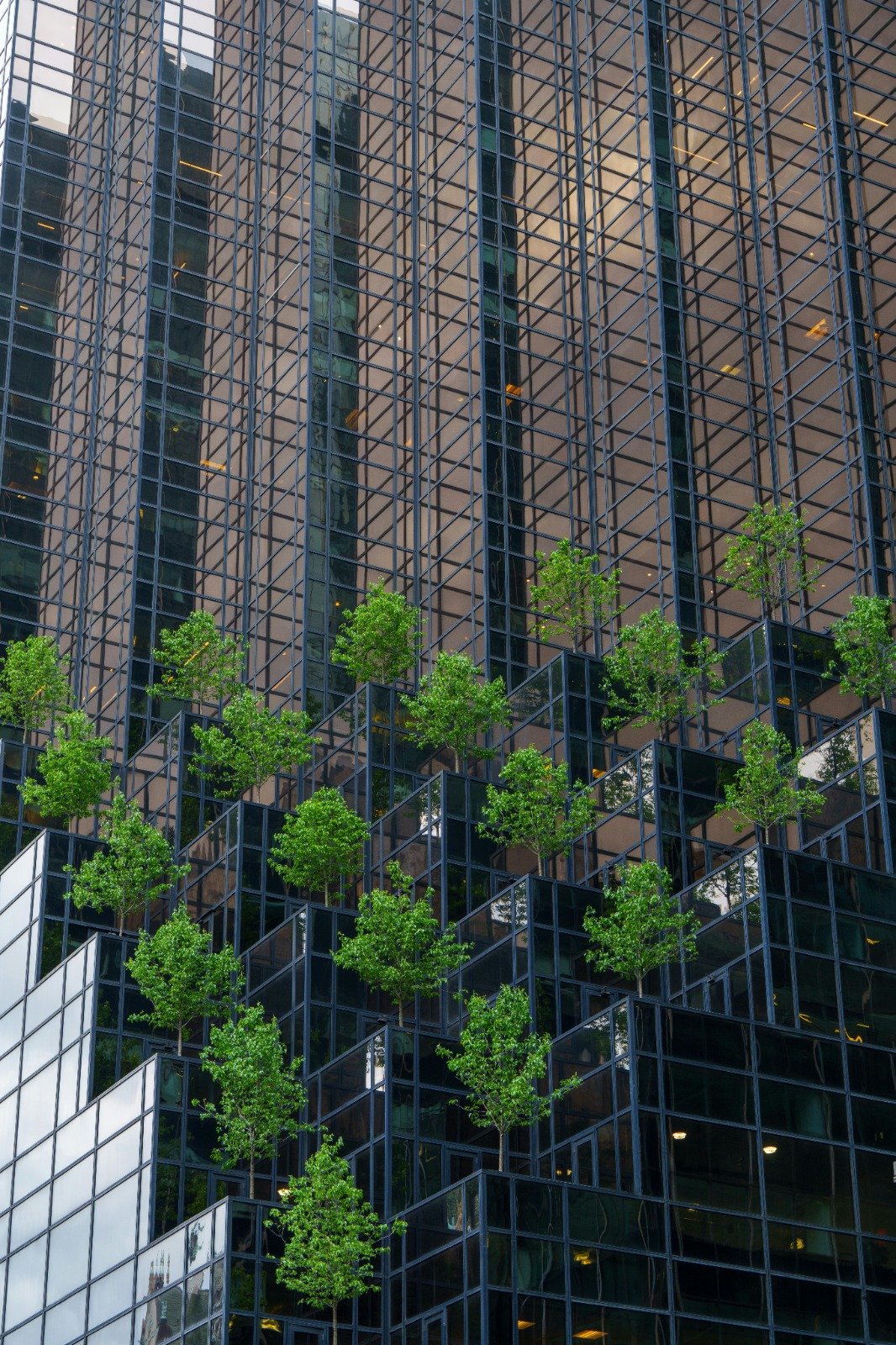 Green Building & Energy Audit Services