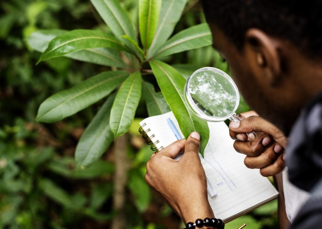 Environmental Impact Assessment