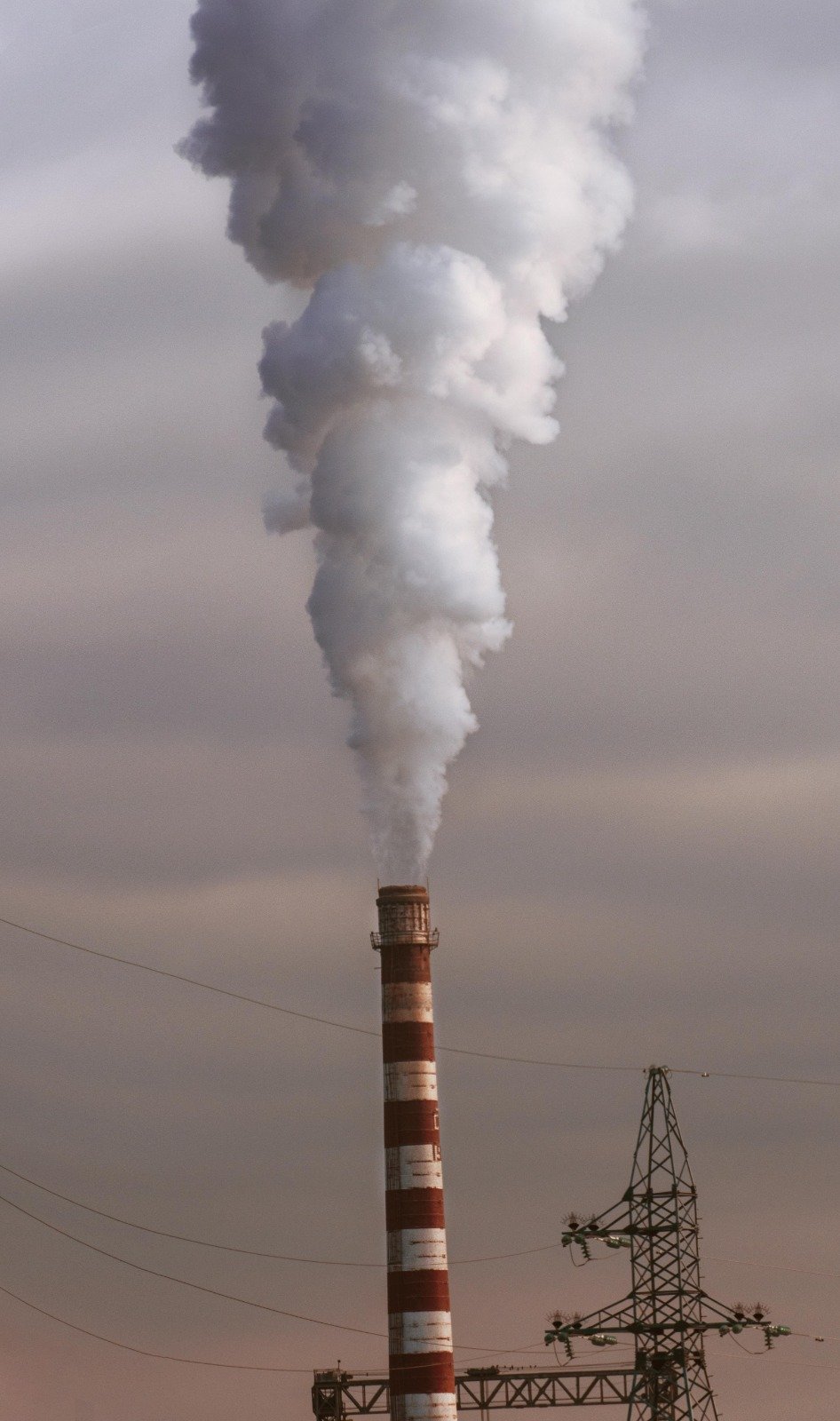 Climate Change and Carbon