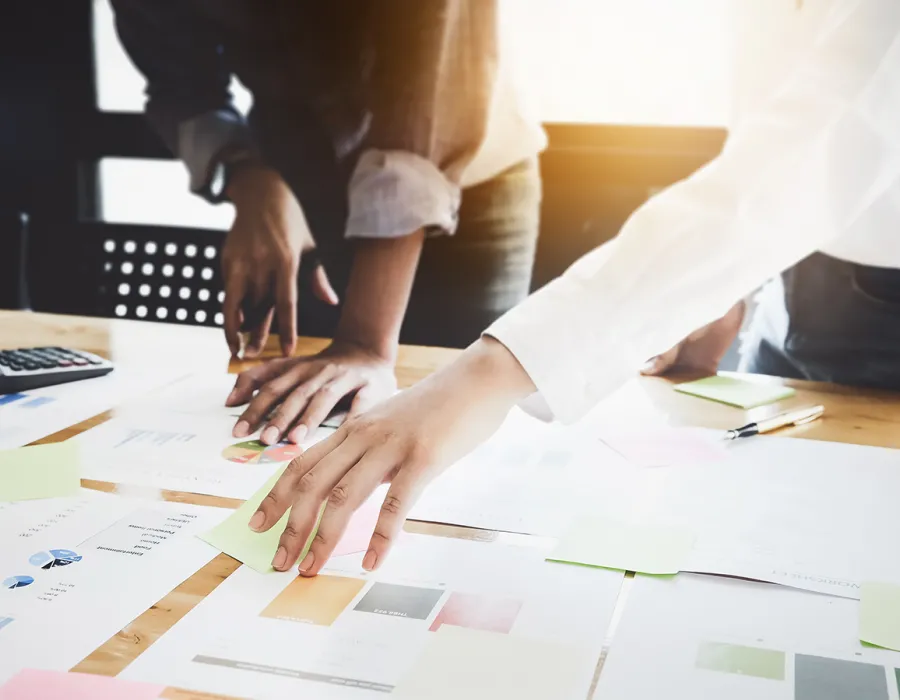Project Management Professional