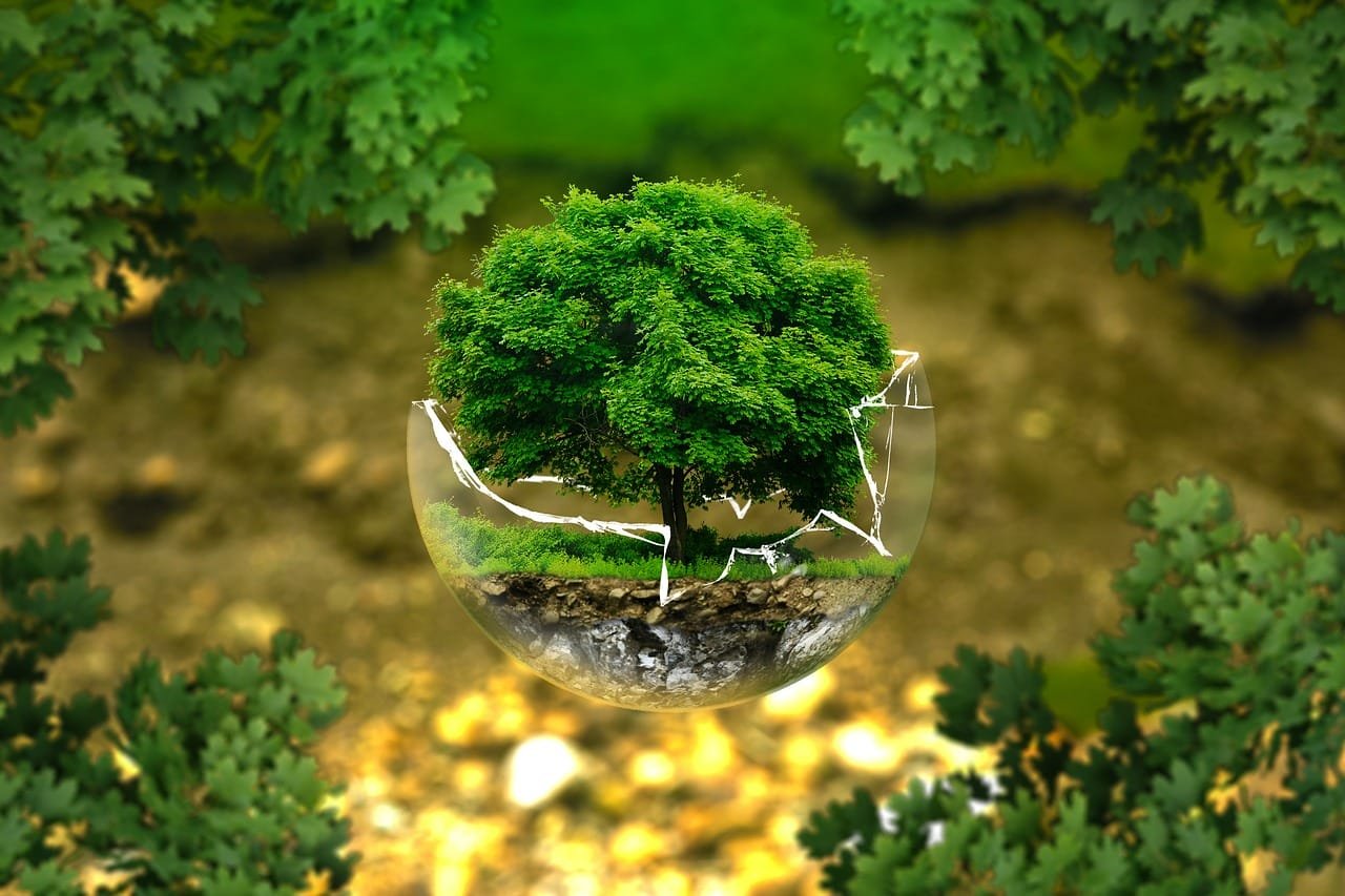 Operational Environmental Management Plan