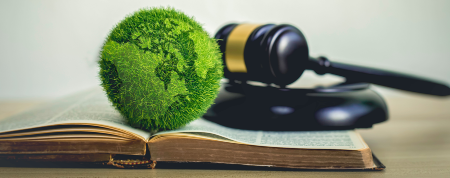 Environmental Audit Report